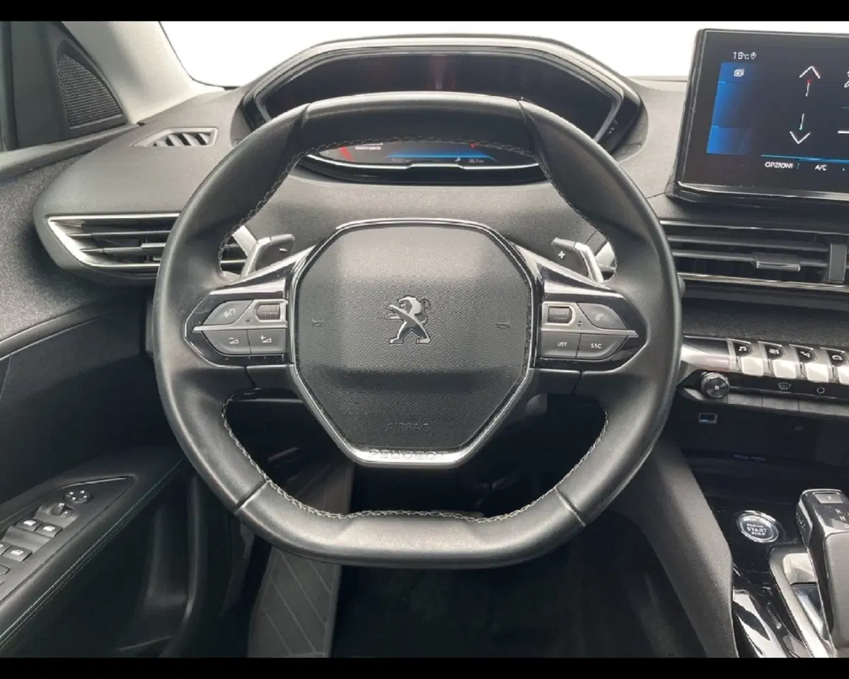 Peugeot 3008 usata a Torino (4)