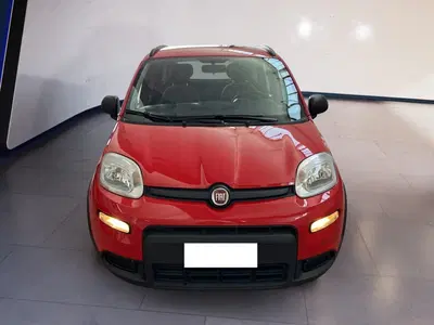 Fiat Panda 1.0 FireFly S&amp;S Hybrid City Cross del 2021 usata a Torino