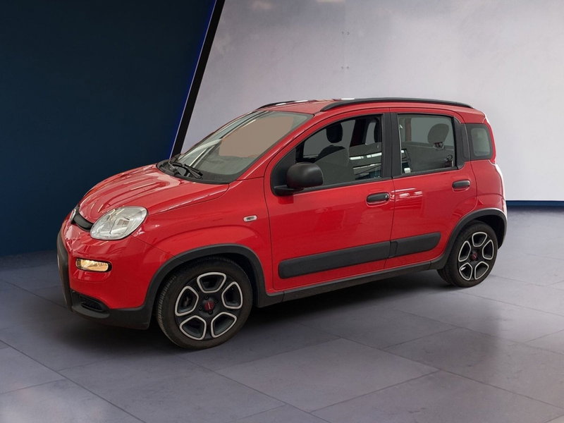 Fiat Panda usata a Torino (3)