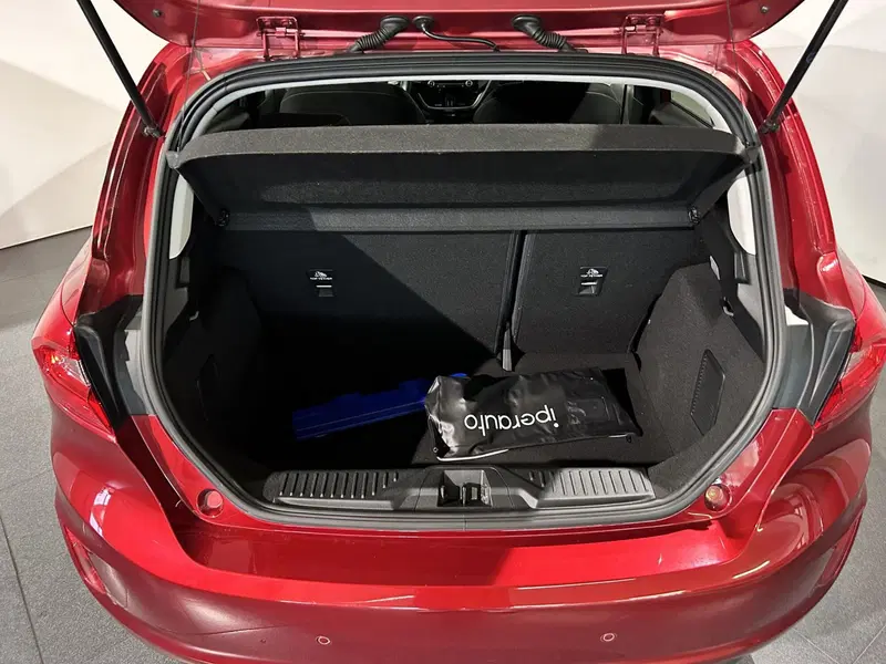Ford Fiesta usata a Milano (6)
