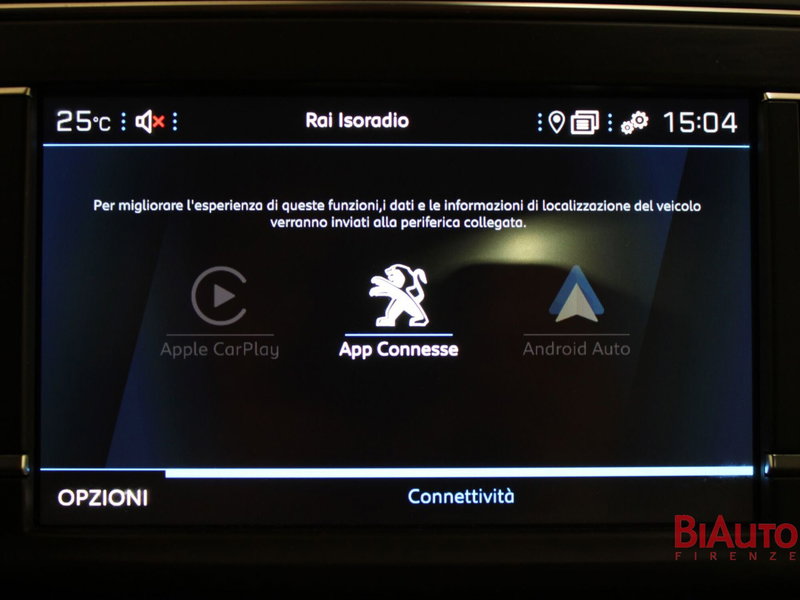 Peugeot Traveller usata a Firenze (15)