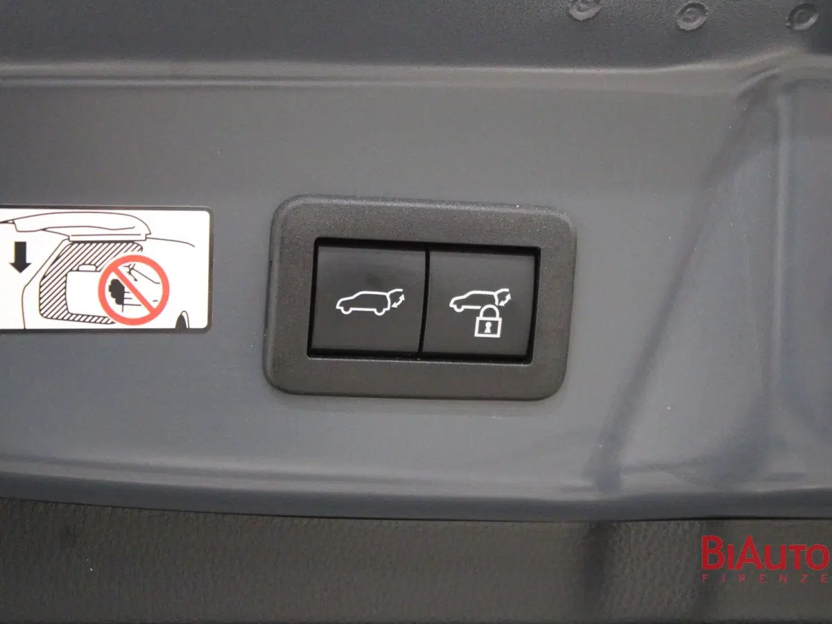 Toyota Prius usata a Firenze (19)