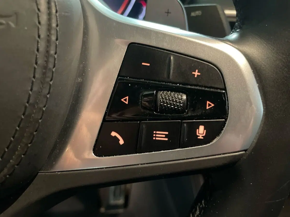 BMW X4 usata a Macerata (19)