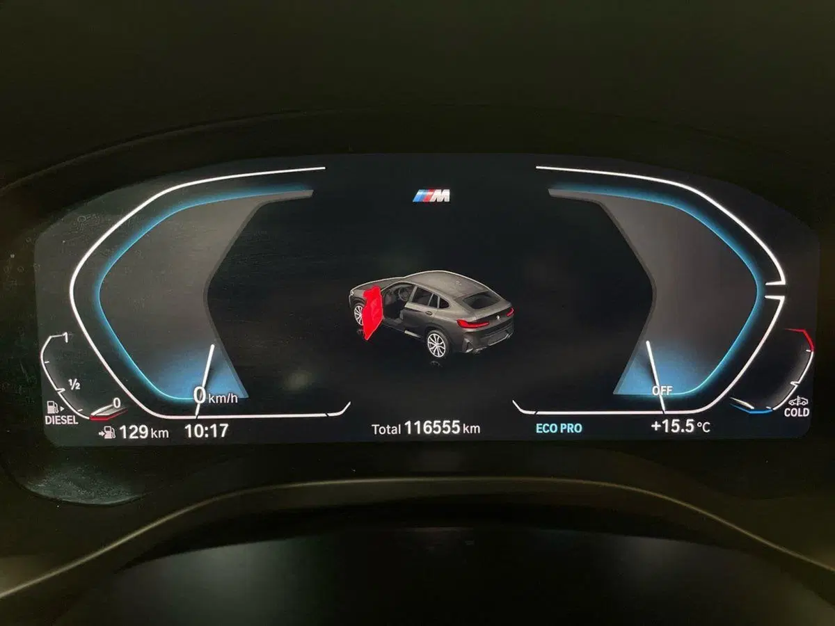 BMW X4 usata a Macerata (9)