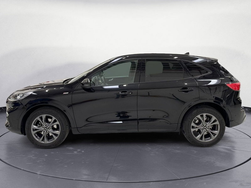 Ford Kuga usata a Cuneo (3)