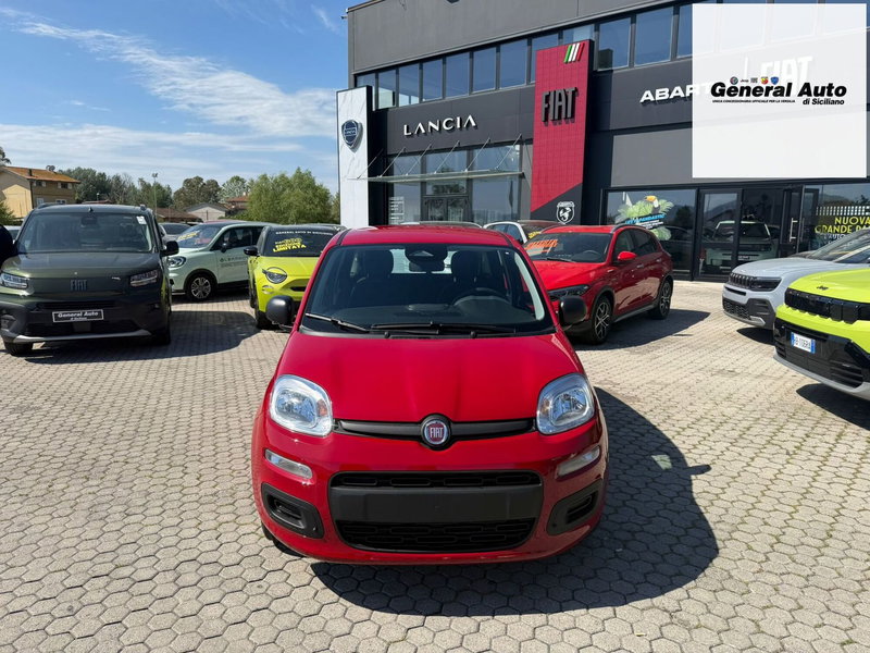 Fiat Pandina nuova a Lucca (2)