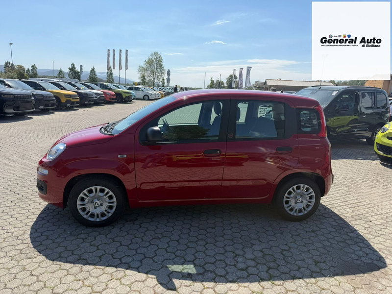 Fiat Pandina nuova a Lucca (4)