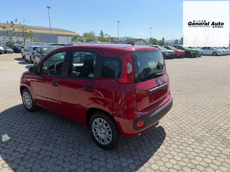 Fiat Pandina nuova a Lucca (5)