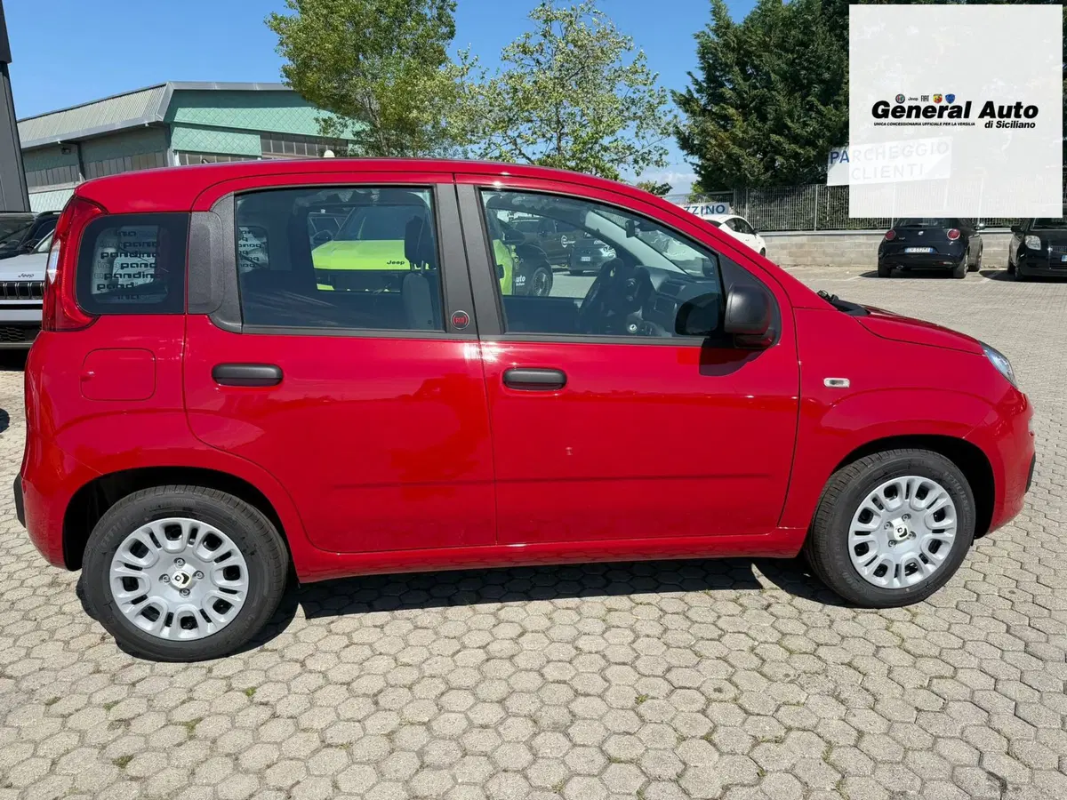 Fiat Pandina nuova a Lucca (8)