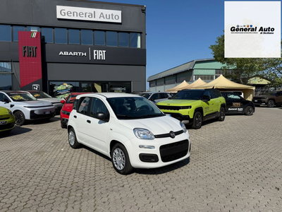 Fiat Pandina 1.0 firefly hybrid Icon s&amp;s 65cv nuova a Viareggio