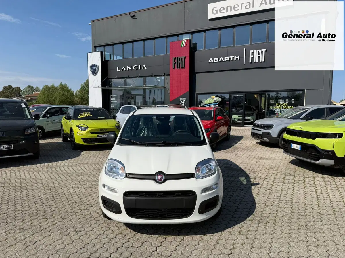 Fiat Pandina nuova a Lucca (2)