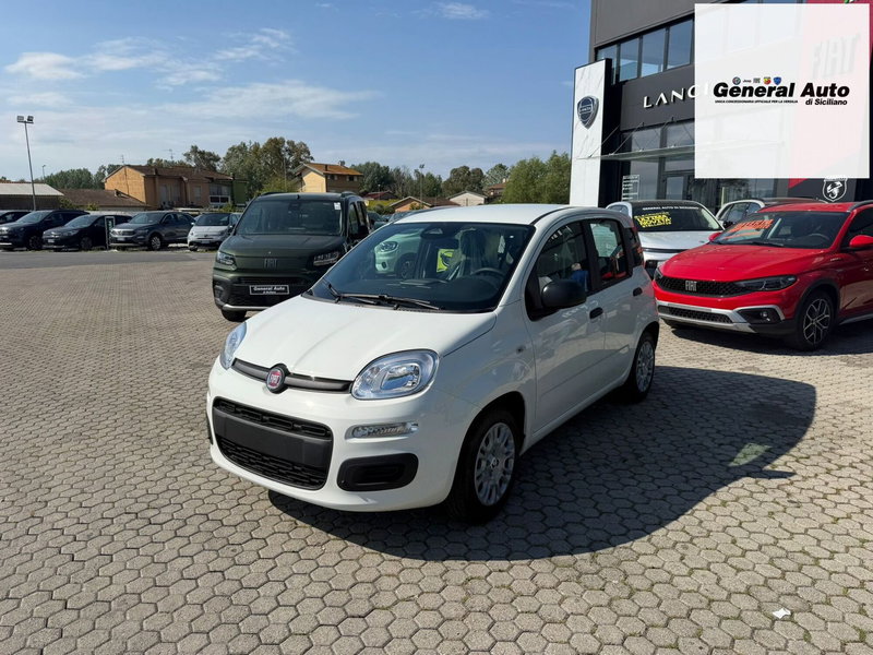 Fiat Pandina nuova a Lucca (3)