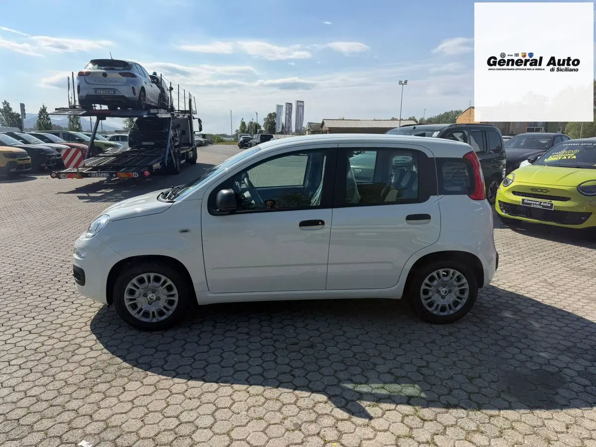Fiat Pandina nuova a Lucca (4)
