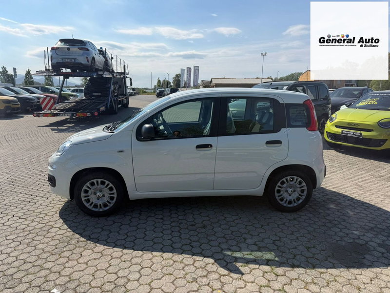 Fiat Pandina nuova a Lucca (4)