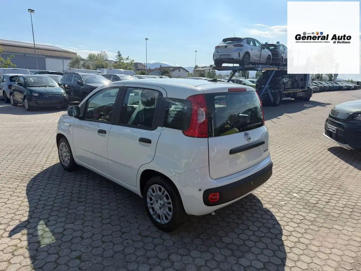 Fiat Pandina nuova a Lucca (5)