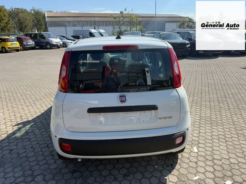 Fiat Pandina nuova a Lucca (6)