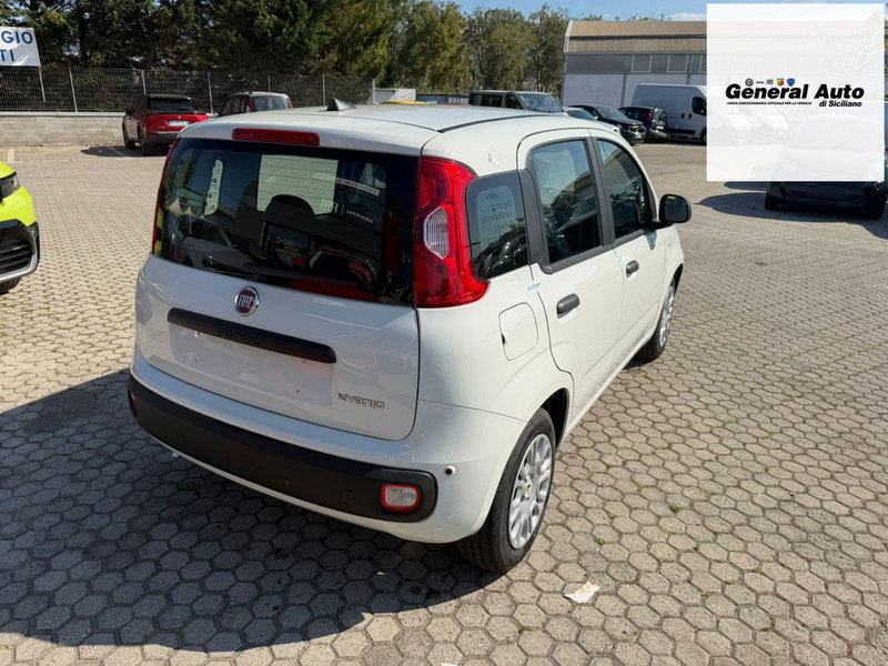 Fiat Pandina nuova a Lucca (7)