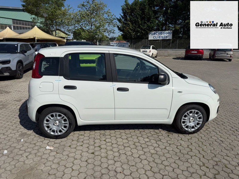 Fiat Pandina nuova a Lucca (8)