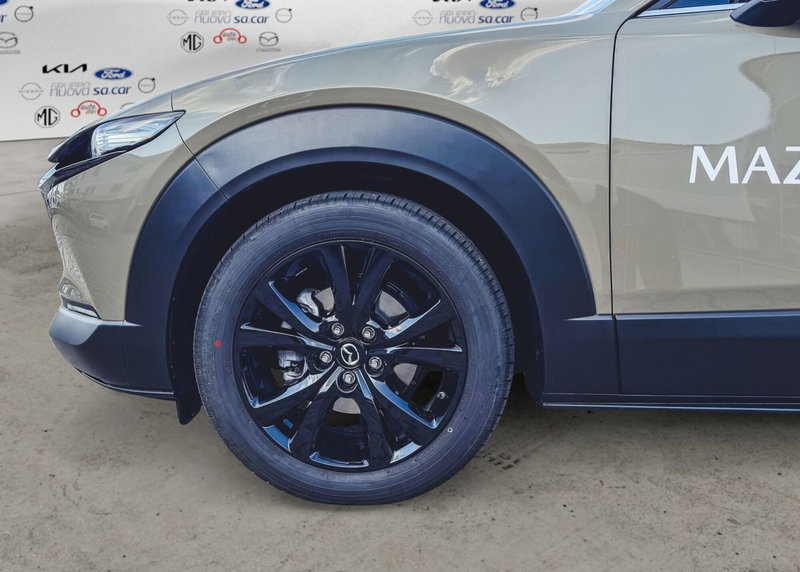 Mazda CX-30 usata a Vercelli (5)