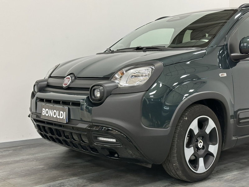 Fiat Pandina usata a Brescia (2)