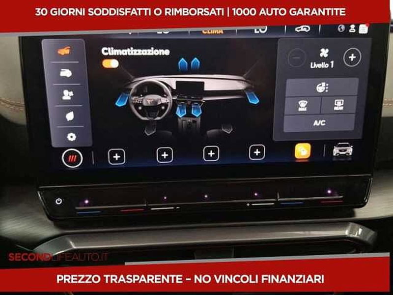 Cupra Formentor usata a Chieti (13)