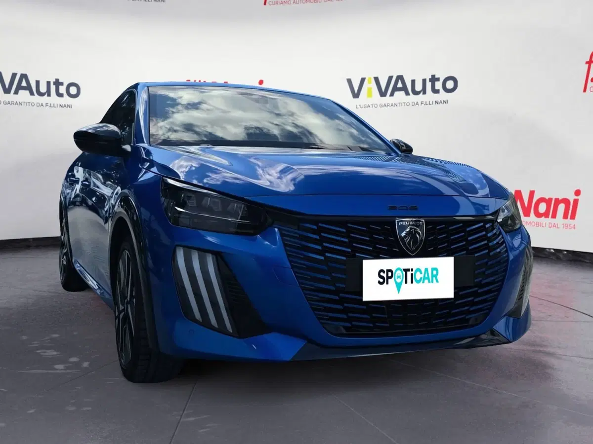 Peugeot 208 usata a Massa-Carrara (19)