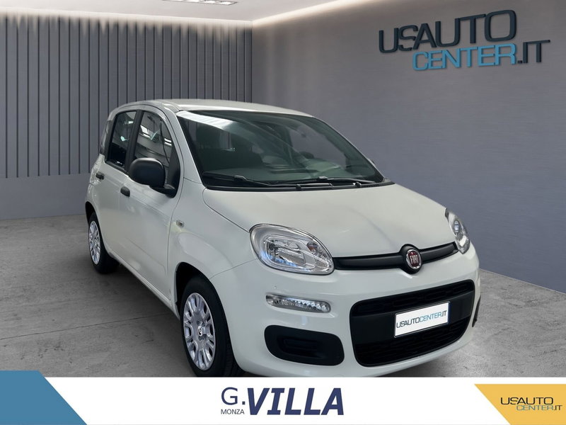Fiat Panda Cross usata a Monza e Brianza (2)