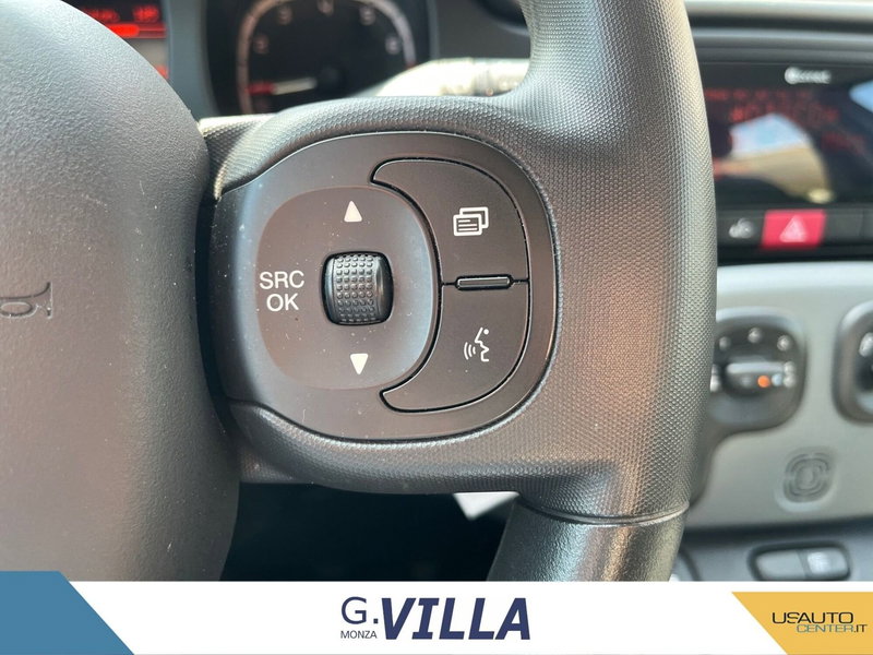 Fiat Panda Cross usata a Monza e Brianza (9)