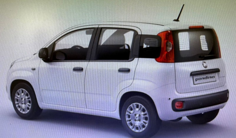 Fiat Panda nuova a Palermo (16)