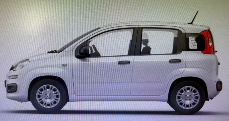 Fiat Panda nuova a Palermo (7)