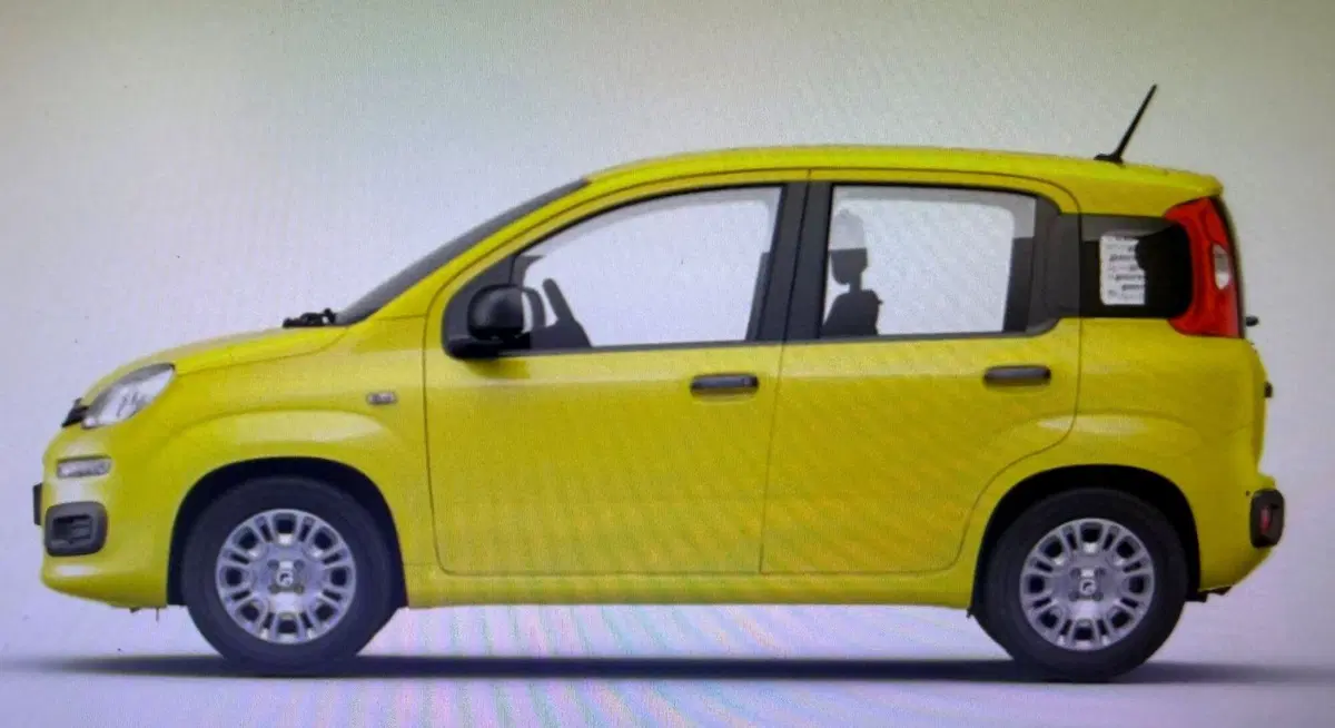 Fiat Panda nuova a Palermo (15)