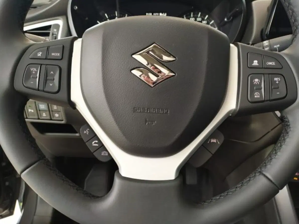 Suzuki S-Cross usata a Trieste (11)