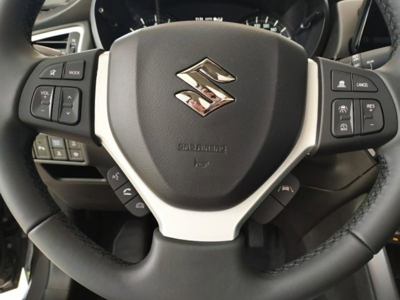 Suzuki S-Cross usata a Trieste (11)