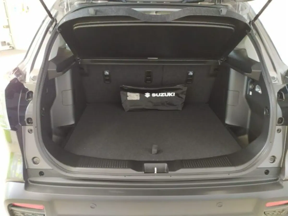 Suzuki S-Cross usata a Trieste (5)