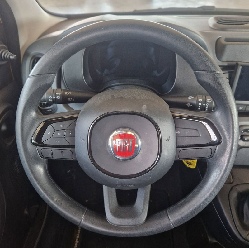 Fiat Panda Cross usata a Terni (12)