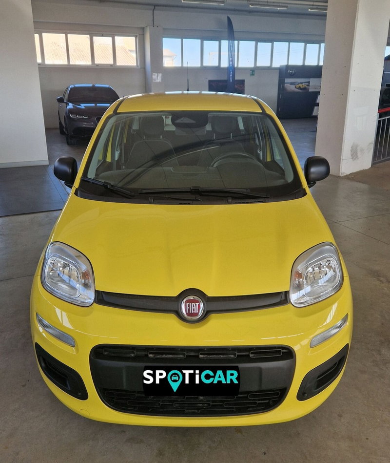 Fiat Panda Cross usata a Terni (2)