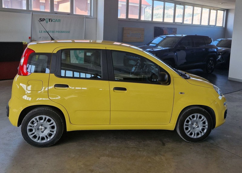 Fiat Panda Cross usata a Terni (3)