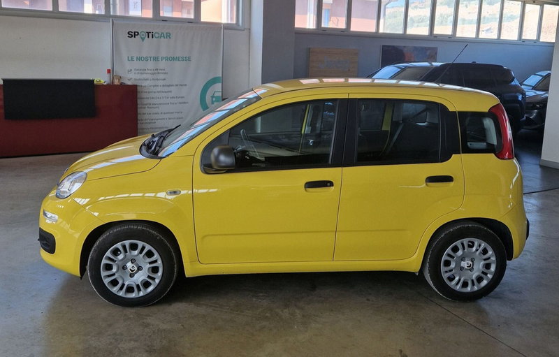 Fiat Panda Cross usata a Terni (6)