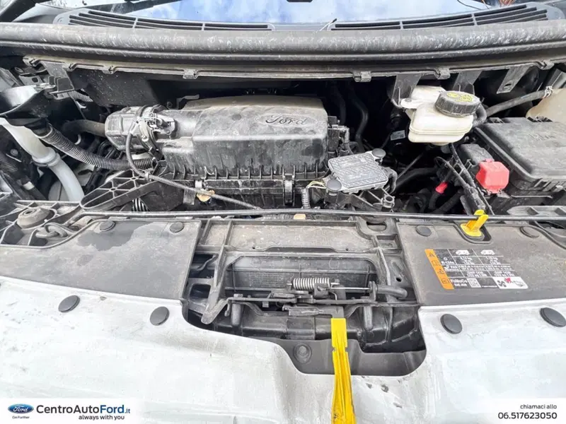 Ford Transit Custom Furgone usata a Roma (10)