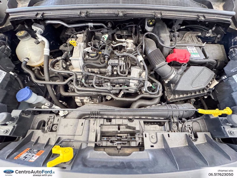Ford Puma usata a Roma (12)