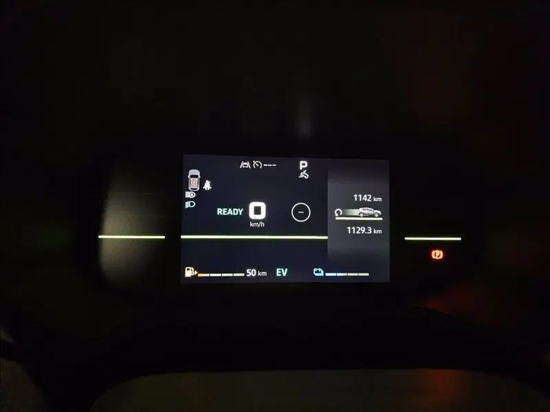 Dacia Duster usata a Palermo (12)