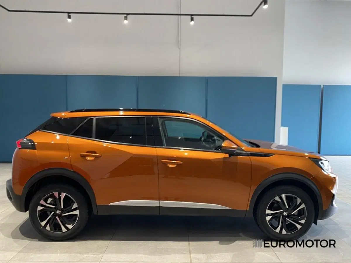 Peugeot 2008 usata a Bari (6)