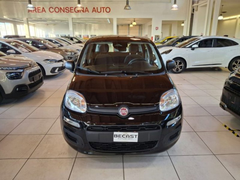 Fiat Panda nuova a Vicenza (2)