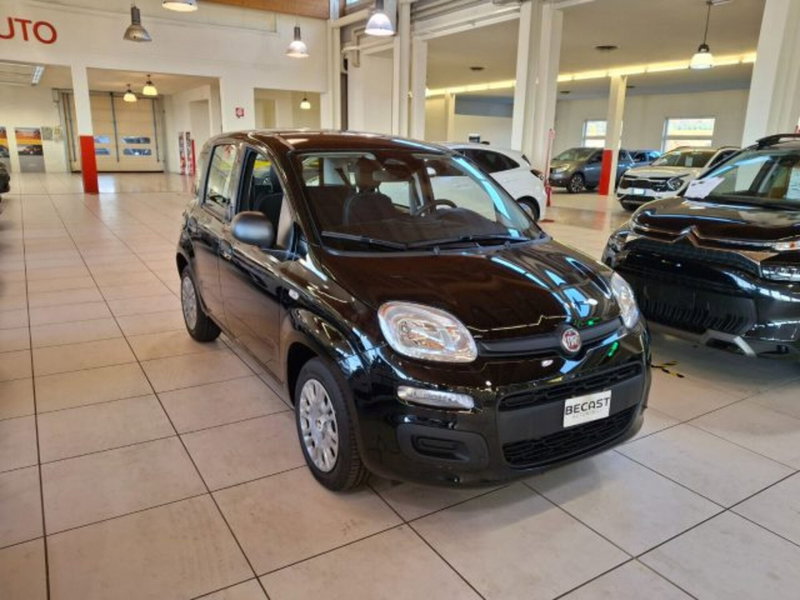 Fiat Panda nuova a Vicenza (3)