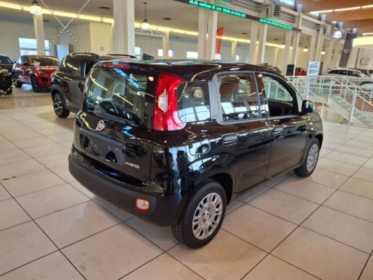 Fiat Panda nuova a Vicenza (4)