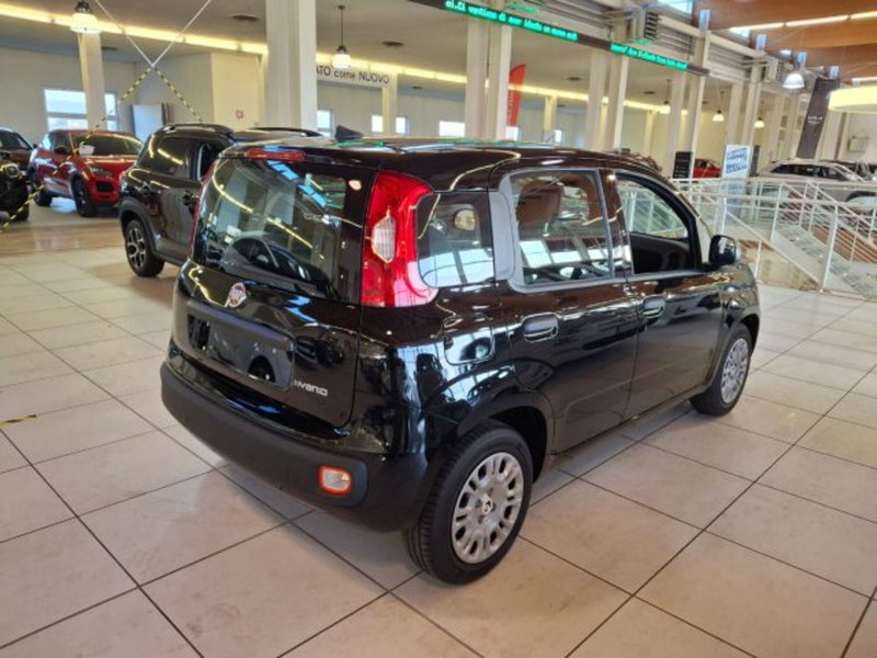 Fiat Panda nuova a Vicenza (4)
