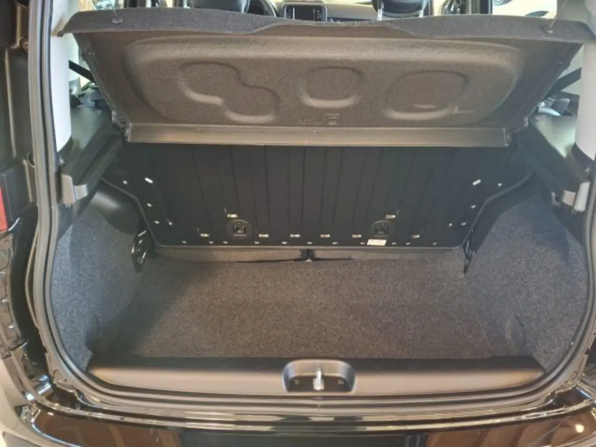 Fiat Panda nuova a Vicenza (6)