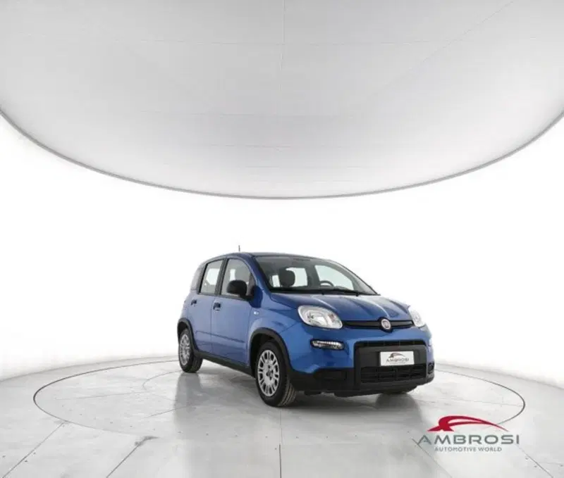 Fiat Panda usata a Perugia (2)