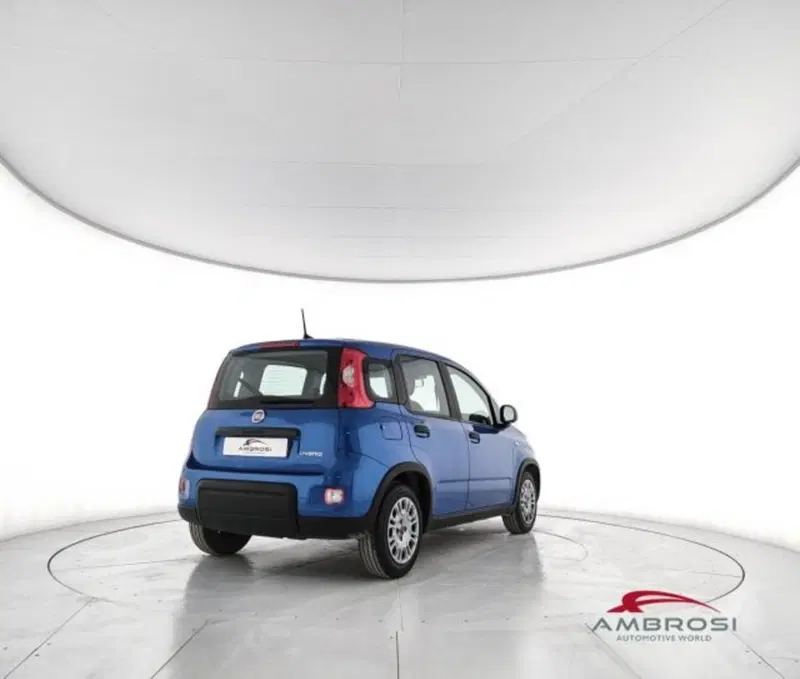 Fiat Panda usata a Perugia (3)