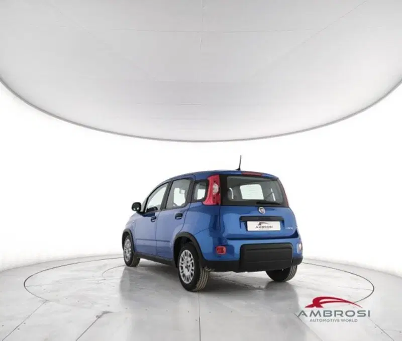 Fiat Panda usata a Perugia (4)